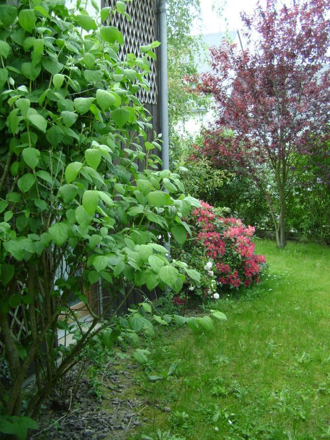 Maison La Chapelle B&B 외부 사진